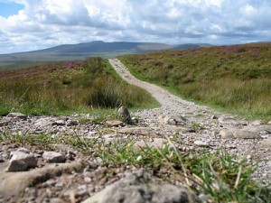 Drug Legalization: The Road to Nirvana