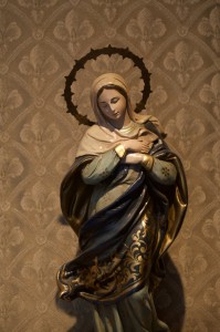 Celebrating the Immaculate Conception