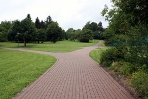 A Great Incompatibility Has Descended Upon the Nation