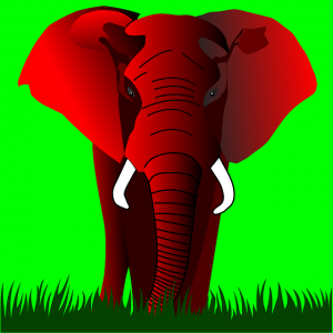 elephant-158555_640