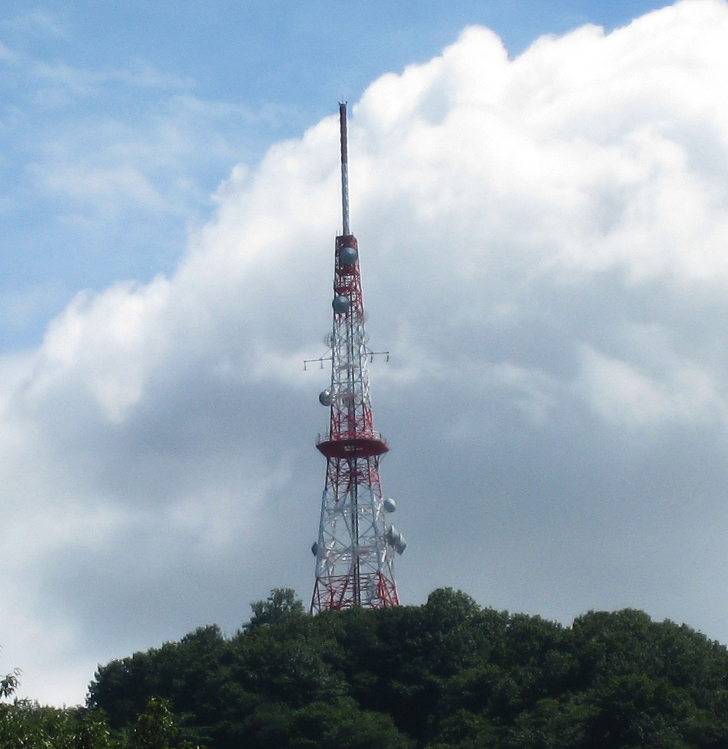 Return to Order ‘Return to Order’ Discussed on Ocala Radio Show