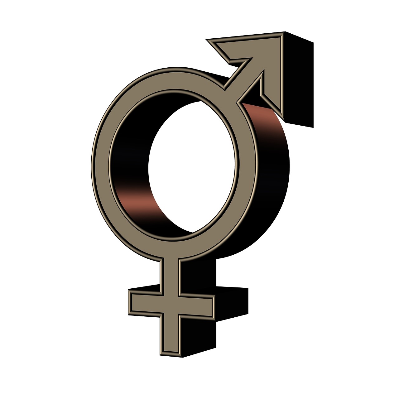 Return to Order Answering a Troubling Question: Man, Woman, or Whatever?