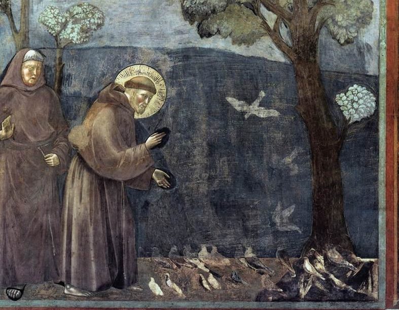 Return to Order He Chose a Greater Chivalry: St. Francis of Assisi (Part 5) 4