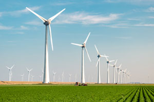 When Windmills Aren’t Green Enough