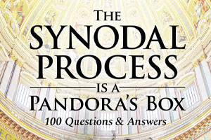 Introduction to the Synodal Process Is a Pandora’s Box