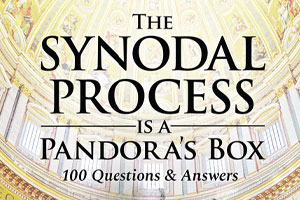 ‘The Synod Process Is a Pandora’s Box’: A Cry of Alarm That Raises Hopes