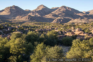 When Catholic Nuns Defend A Tribal Mountain Sacred to Pagans, Something Is Wrong