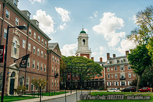 From Harvard Yard to Southern Charm: Students Flee in DEI Exodus