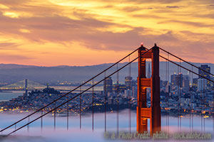 Why Governor Newsom’s Attitudes Are Driving Businesses Out of California