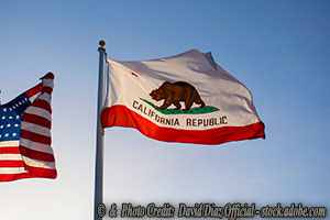 California’s $20 Minimum Wage: A Lesson in Economic Reality