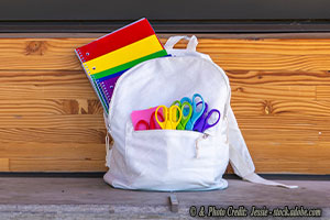 The Intersection of Politics and Education: “Gender Affirming Care” Policies in Public Schools