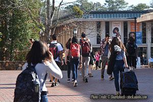 Young Americans Are Self-Identifying as: Normal