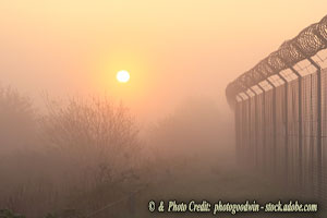 A Review of the Political Panorama in 2025—the Chaotic Path to a Multipolar World