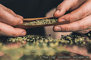 The High Price of “Harmless” Fun