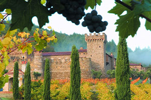 Wine, Civilization and the Ordering of Desire A Counter-Revolutionary Reflection