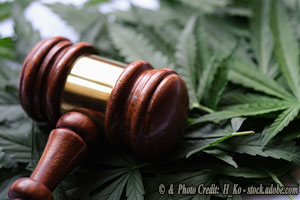 In the Struggle Over Marijuana Use, Facts Reveal its Dangers