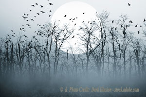 5 Reasons Why a Catholic Should Not Celebrate Halloween