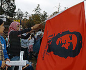 successful_revolution_68