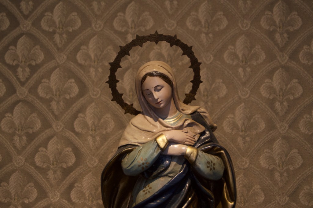 Celebrating the Immaculate Conception - Return to Order