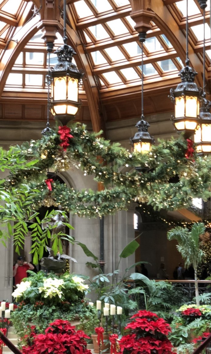 magnificent-things-people-see-biltmore-7