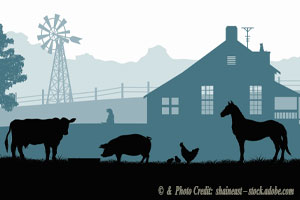 Animal Farm 2.0: Where Some Animals Are More Co-Equal Than Humans