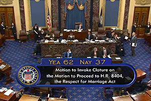 Why Are There No DINOs? The Shameful Role of RINOs and CINOs in the GOP-Engineered Destruction of Marriage