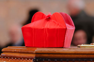 Cardinal McElroy, “Homoheresy” and the Church’s Apparent Eclipse