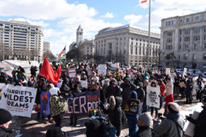 What I Didn’t See at the 2024 Women’s March