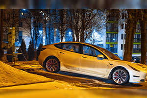 The Paradox of Sustainability: How Green Dreams Fuel Criminal Schemes