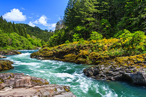 The River That Lost Its Rights: A Step Back From Environmental Madness