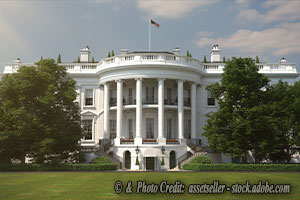 The Emotional Aftershock How the Left Reacted to Trump’s Election