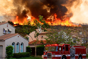 LA Fires Show Liberal, Socialist Policies Have Failed—Again