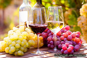 Why Are They Waging War on Wine?