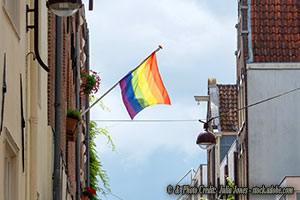 Why Does California Favor the LGBTQ Ideology Over Christian Foster Homes?