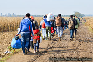 Should Church Officials Be Teaching Illegal Immigrants How to Avoid the Law?