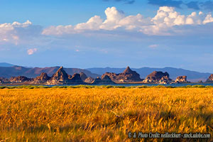 To Whom Should I Make My Land Acknowledgement Statement?
