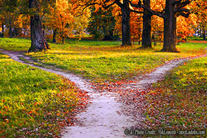 Where Is America Headed? To Chaos or a Counter-Order?