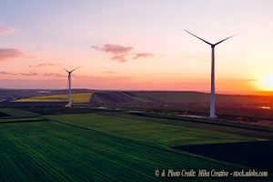 America’s Cancellation of the Net-Zero Agenda Will Impact China