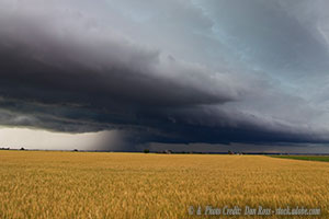 A Storm Brews over the Credibility of Climate Studies