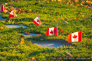 Euthanasia In Canada: A Compassionate Revolution or Moral Depravity?