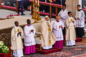 The TFPs’ Supplication to Pope Leo Asks Him for Clarity in Affirming Traditional Marriage