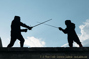 The Art of Political Fencing in an Age of Polarization